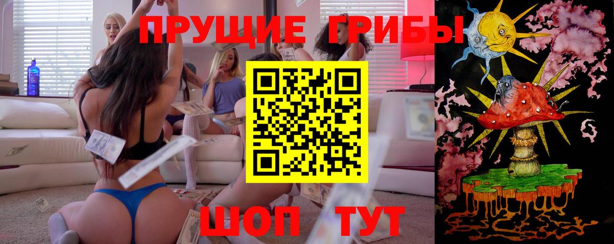 Псилоцибиновые грибы мицелий Вологда