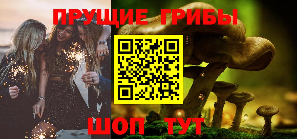 Вологда  Псилоцибиновые грибы ЛСД  Вход с VPN 